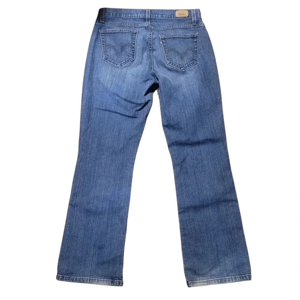 Levis levi 529